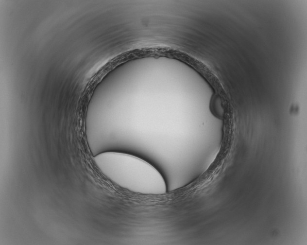 X0000111620871200907171102