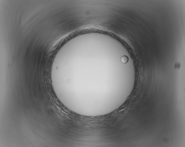 X0000111620872200907171102