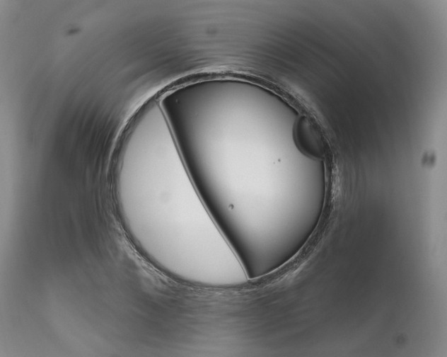 X0000111620876200907171102