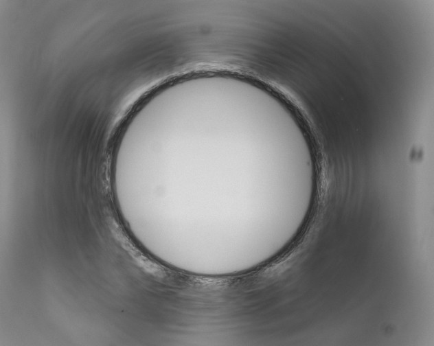 X0000111620878200907171102