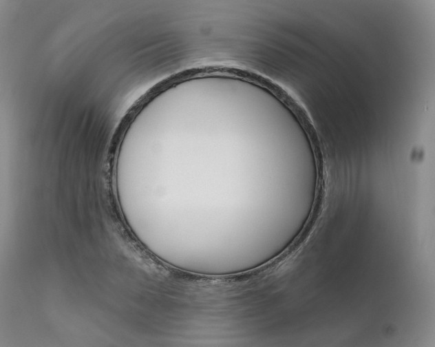 X0000111620879200907171102