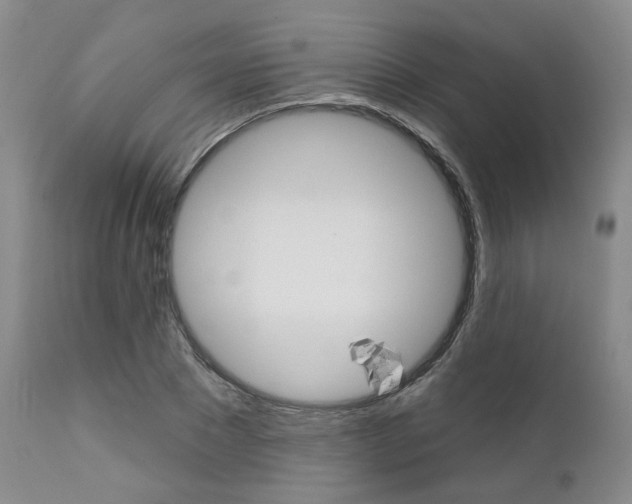 X0000111620881200907171102