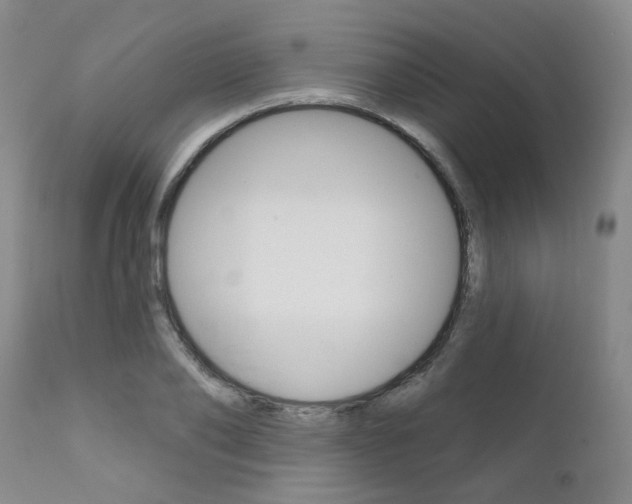 X0000111620886200907171102