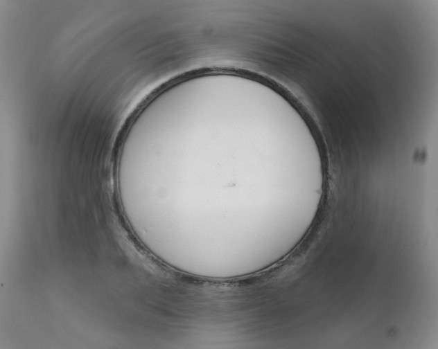 X0000111620887200907171102