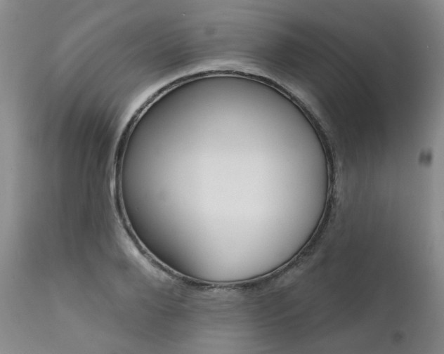X0000111620888200907171102
