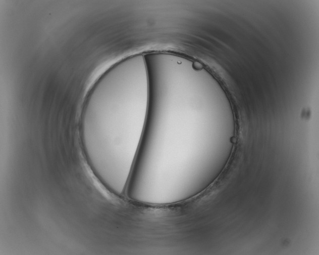 X0000111620894200907171102