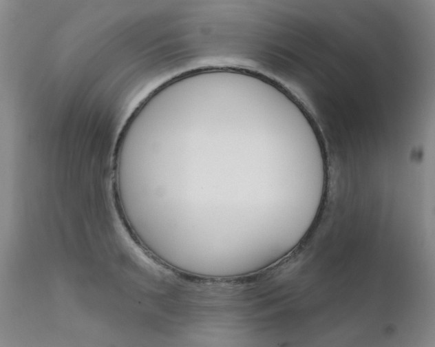 X0000111620895200907171102