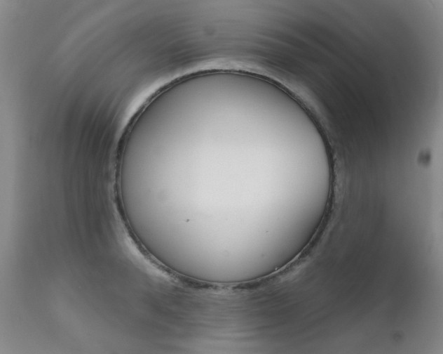 X0000111620896200907171102
