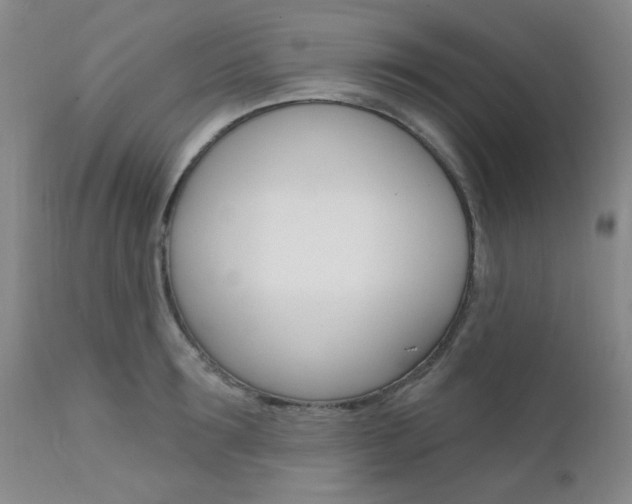 X0000111620899200907171102