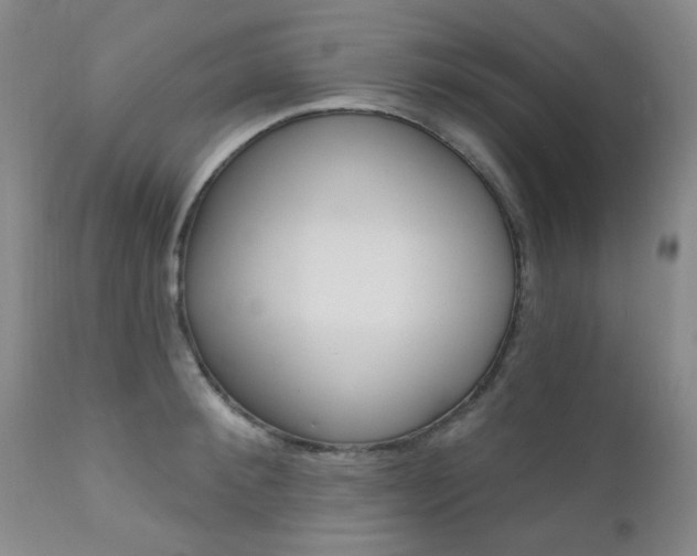 X0000111620900200907171102