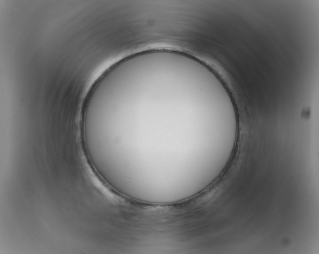 X0000111620902200907171102