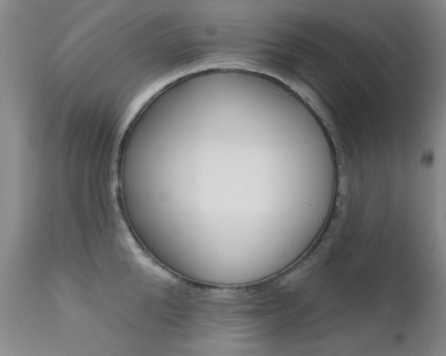 X0000111620904200907171102