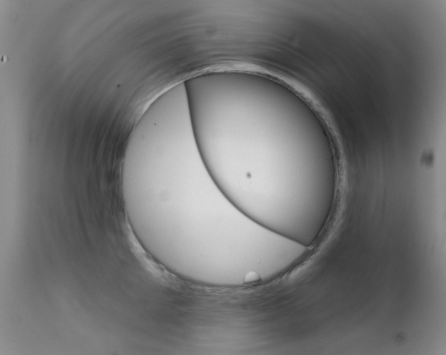 X0000111620905200907171102