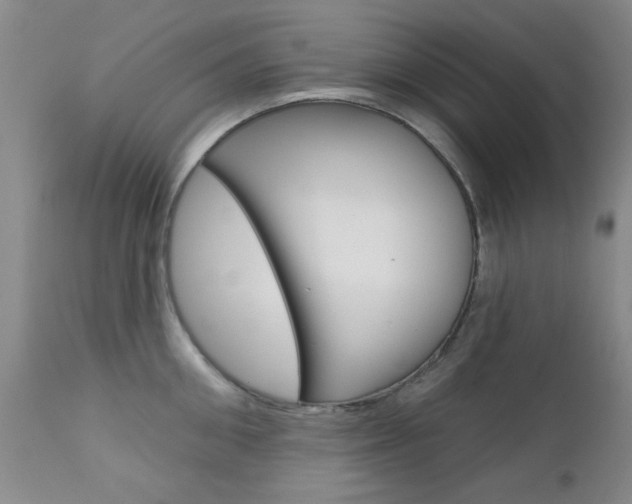 X0000111620906200907171102
