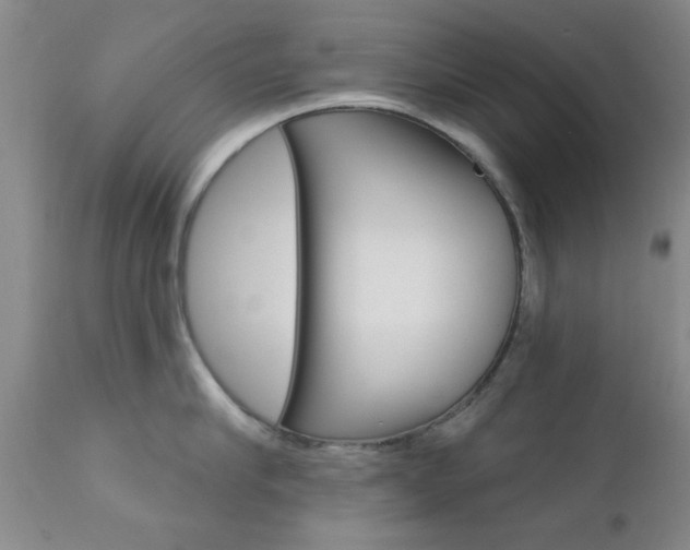 X0000111620910200907171102