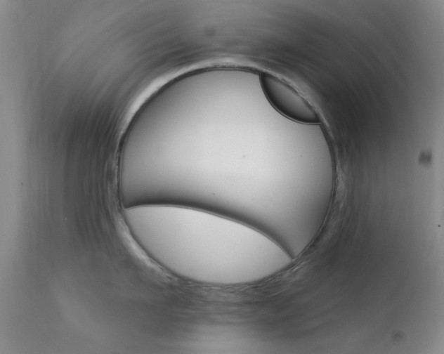 X0000111620911200907171102