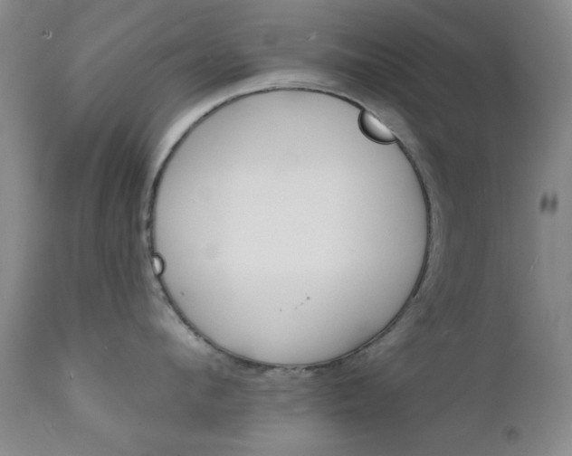 X0000111620912200907171102