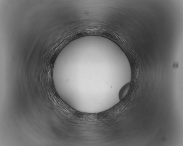 X0000111620914200907171101