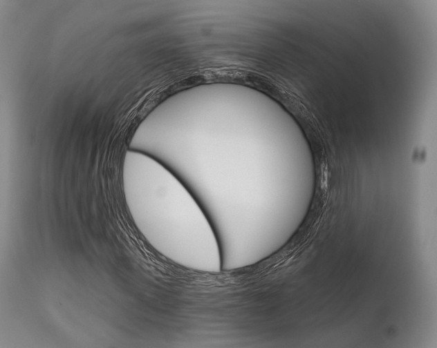 X0000111620915200907171101