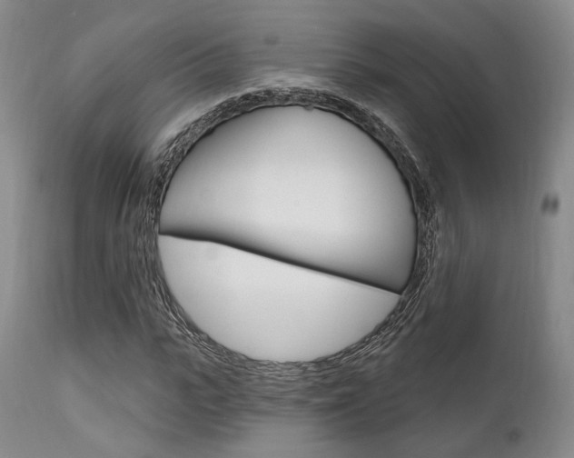 X0000111620919200907171101