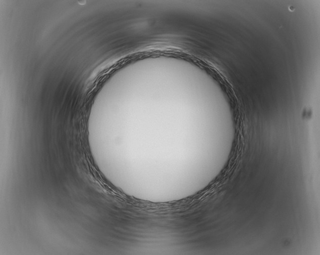 X0000111620920200907171101