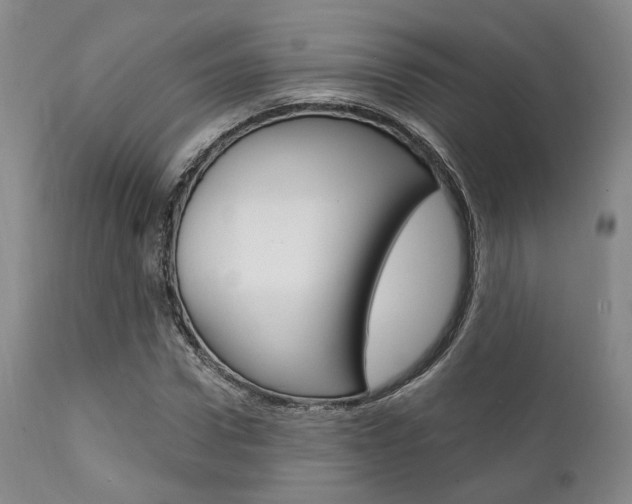 X0000111620922200907171101
