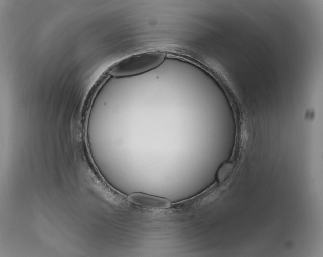 X0000111620924200907171101