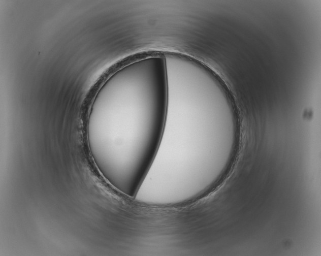 X0000111620926200907171101