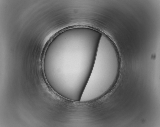 X0000111620928200907171101