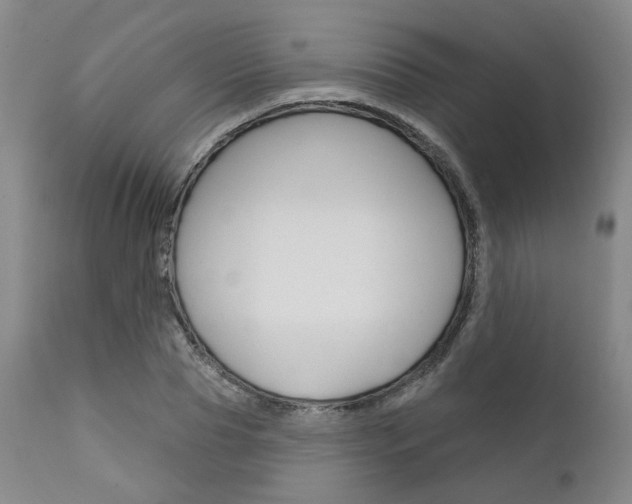 X0000111620929200907171101