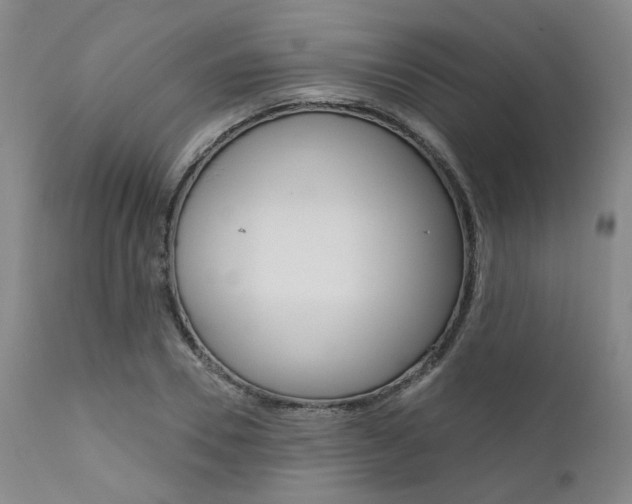 X0000111620930200907171101