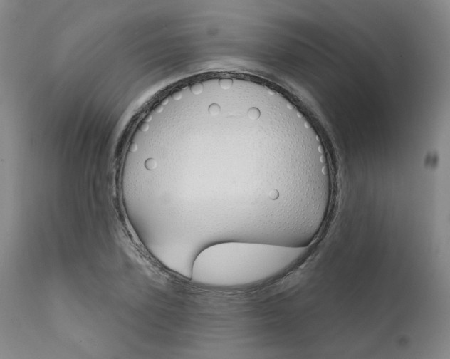 X0000111620931200907171101