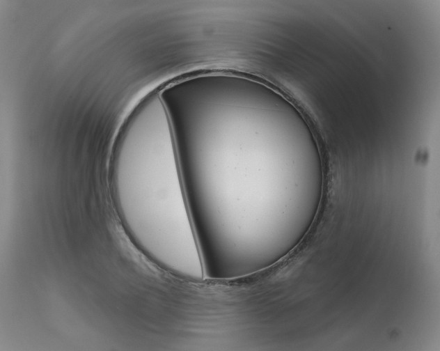 X0000111620932200907171101