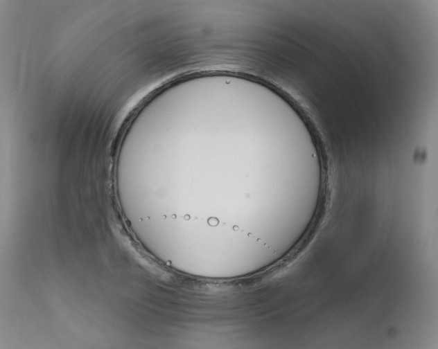X0000111620933200907171101