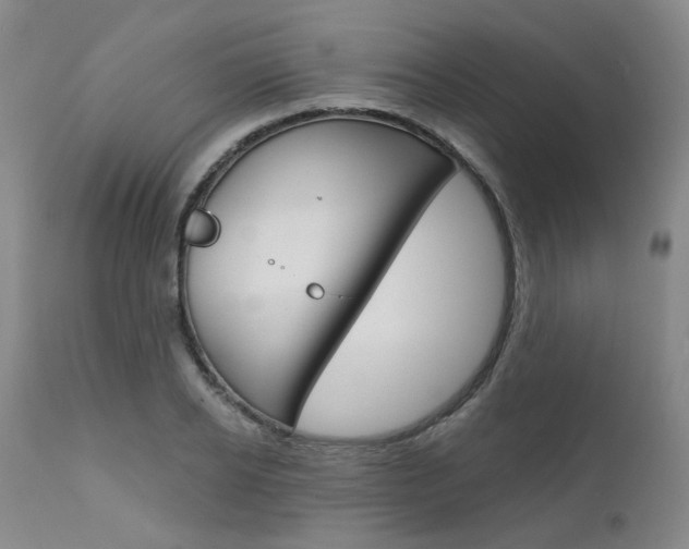 X0000111620934200907171101