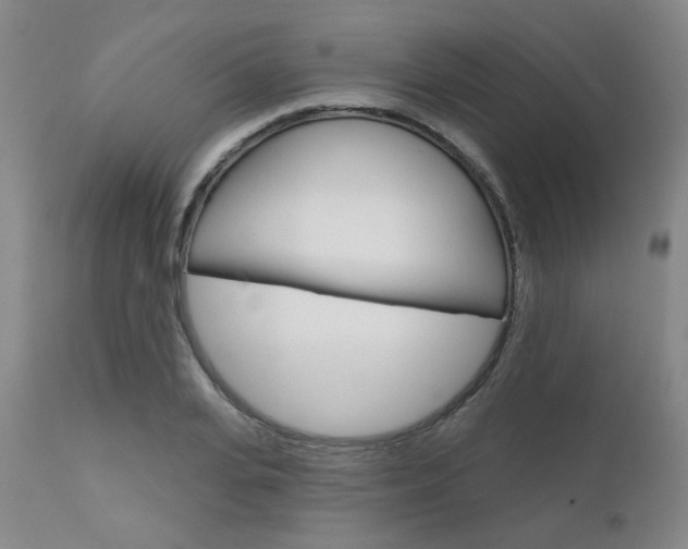 X0000111620935200907171101