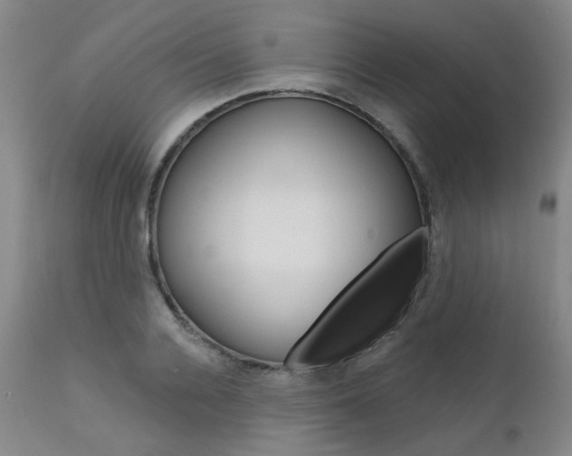 X0000111620936200907171101