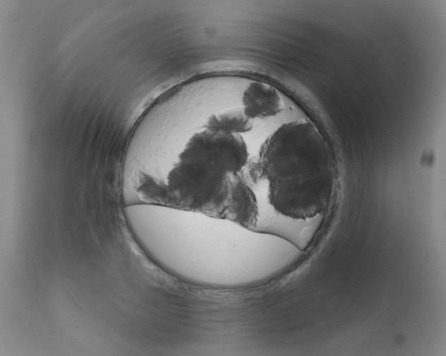 X0000111620937200907171101