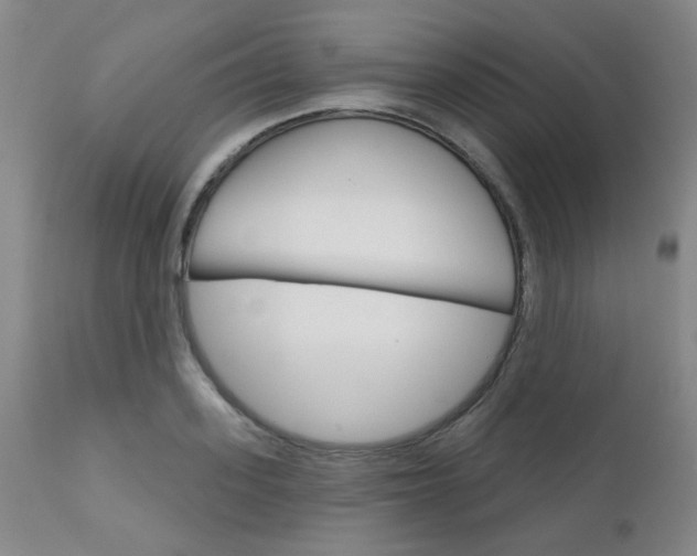 X0000111620939200907171101