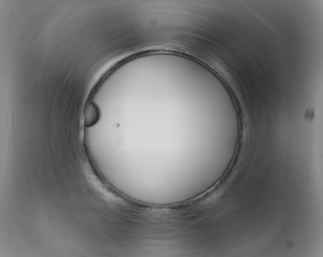 X0000111620940200907171101