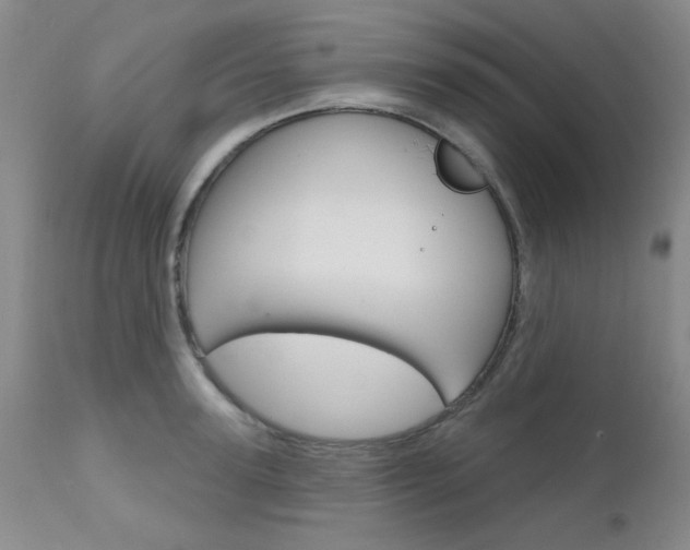 X0000111620947200907171102