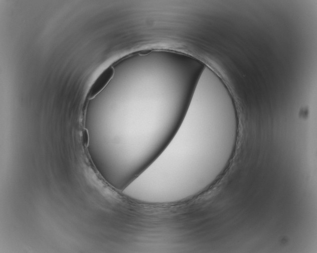 X0000111620948200907171102