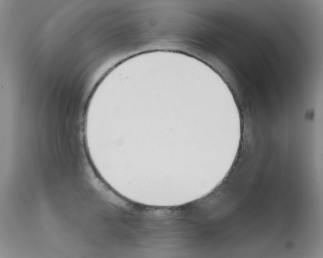 X0000111620950200907171102