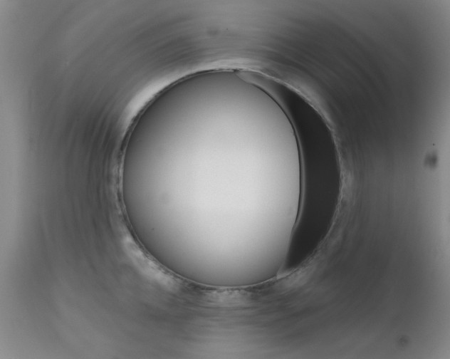 X0000111620952200907171102