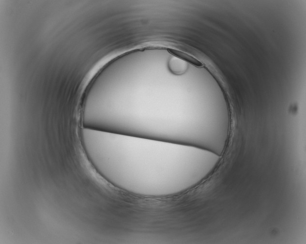 X0000111620955200907171102