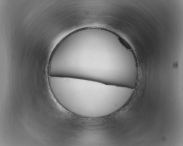 X0000111620959200907171102