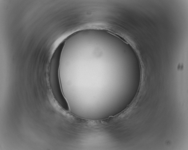 X0000111620960200907171102