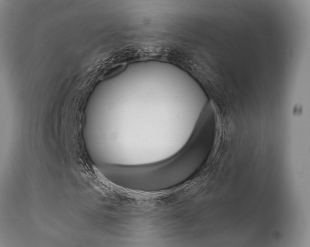 X0000111620961200907171101