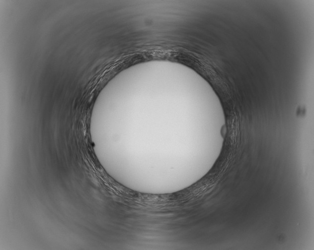 X0000111620962200907171101