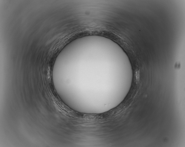 X0000111620963200907171101